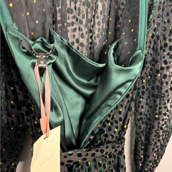 Alex Marie Emerald Green Victorian Feminine High Neck Holiday Dress| Size 12 - Picture 13 of 13